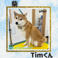 画像3064