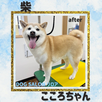 画像3071
