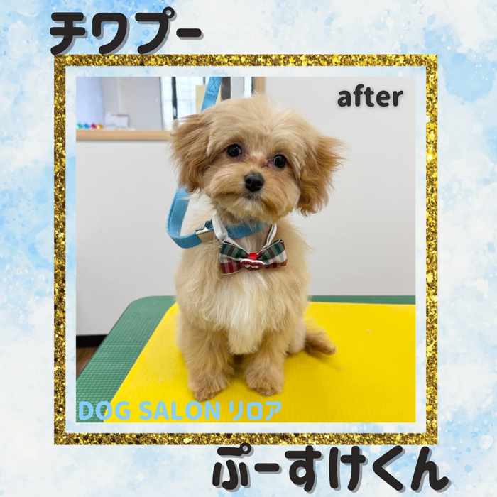 画像3101