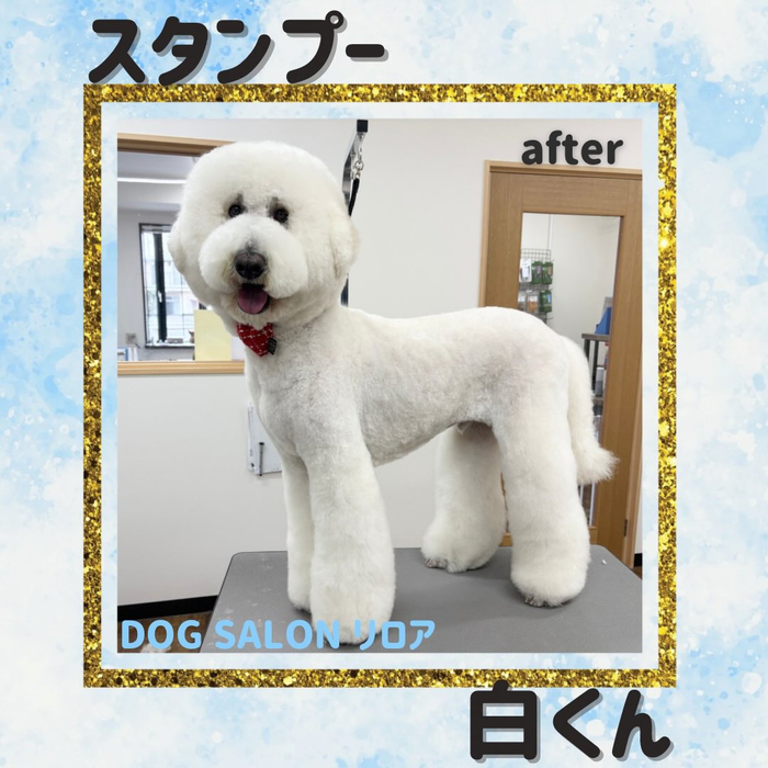 画像3124