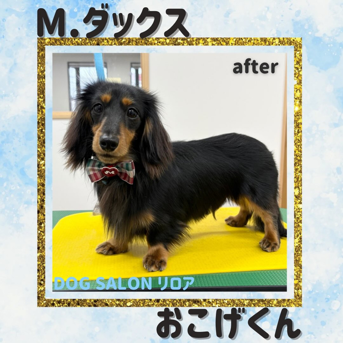 画像3131