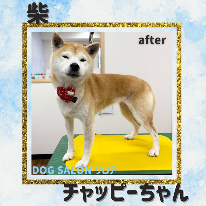 画像3167