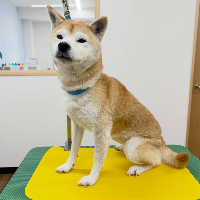 画像3171