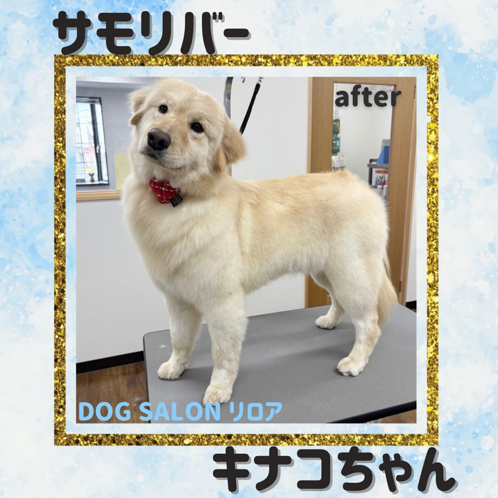 画像3248