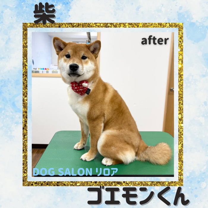 画像3304