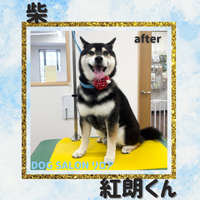 画像3330