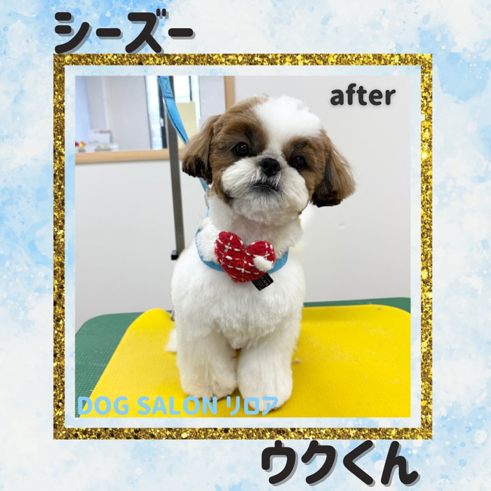 画像3337