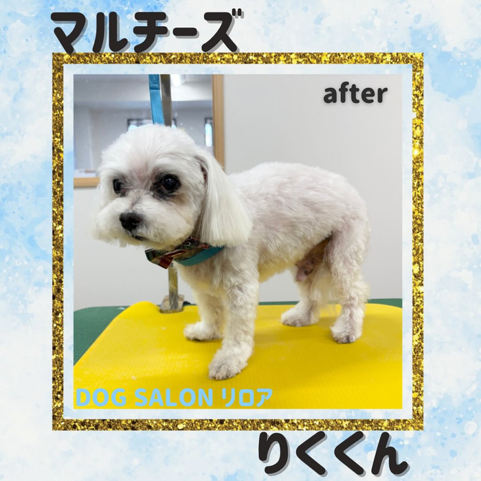 画像3367