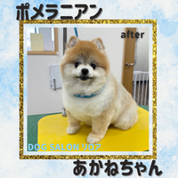 画像3381