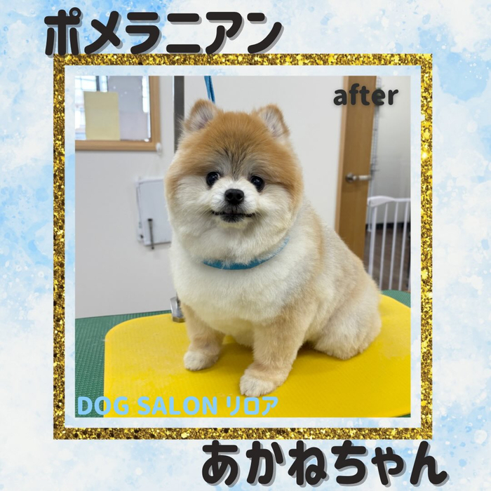 画像3381