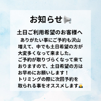 画像3405