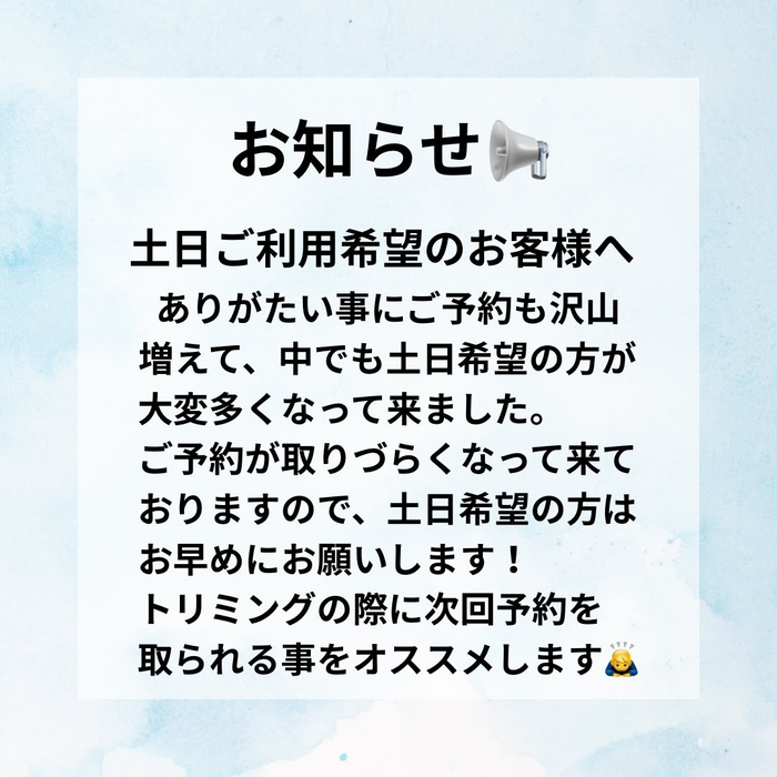 画像3405