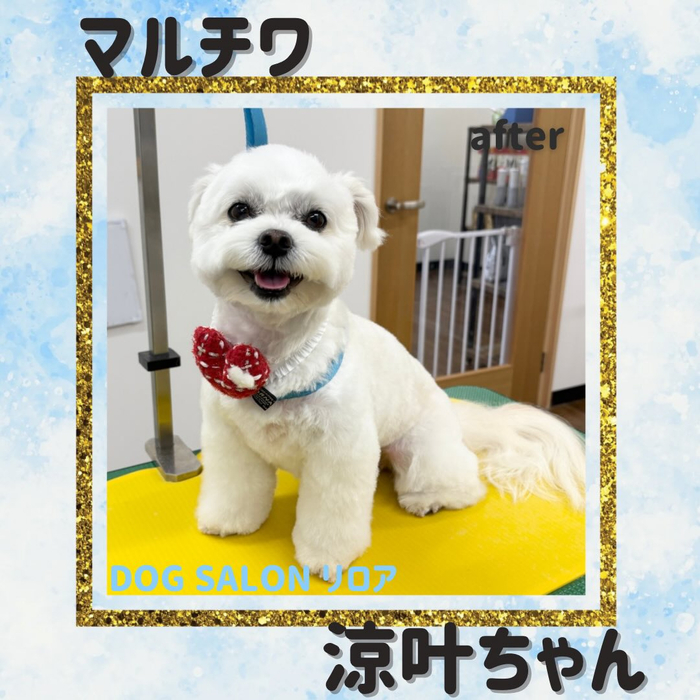 画像3417
