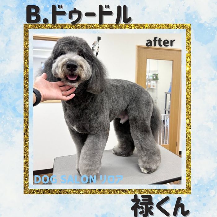 画像3464