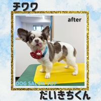 画像3485