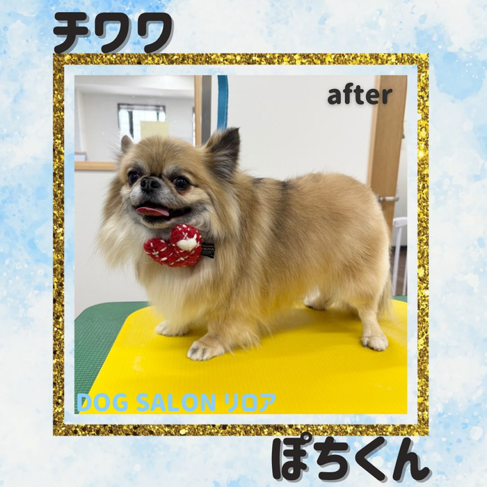 画像3524