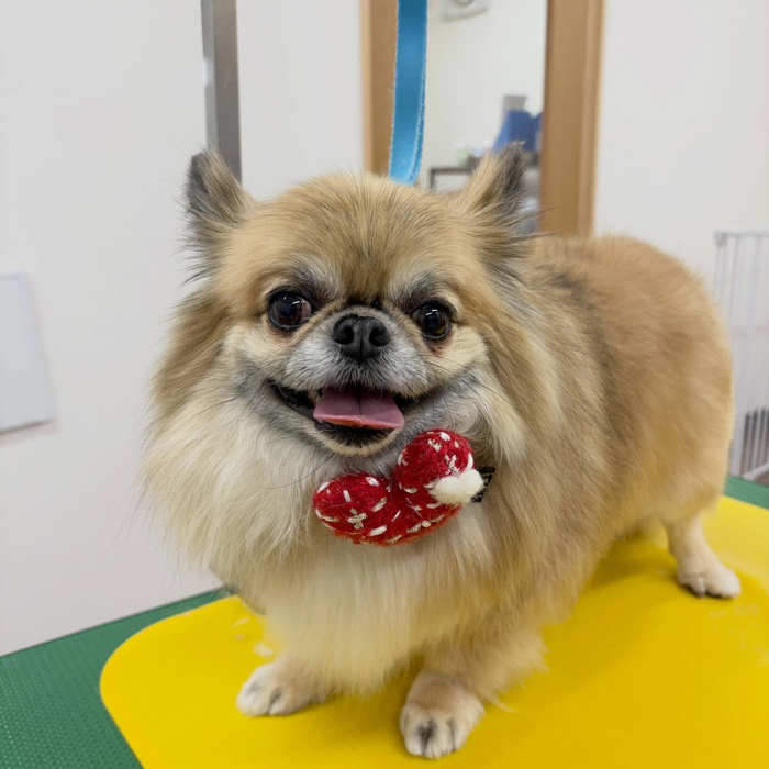 画像3526