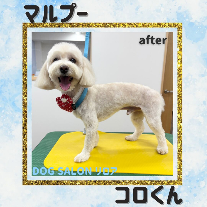 画像3531
