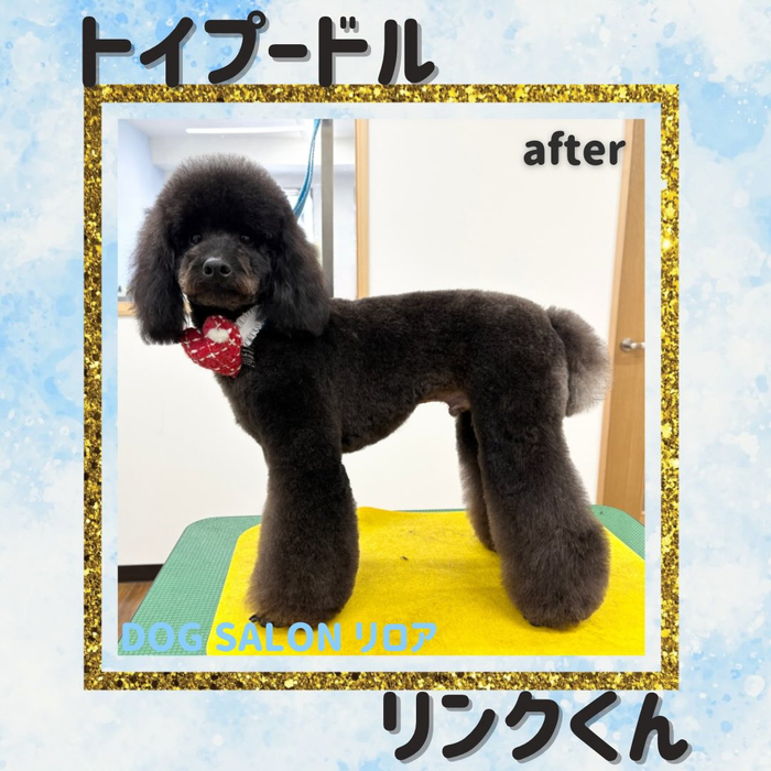 画像3548