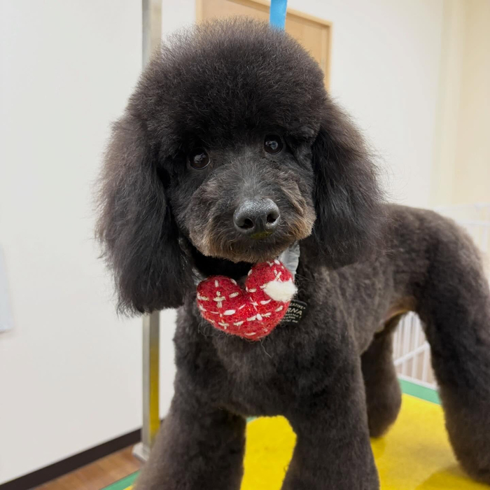 画像3550