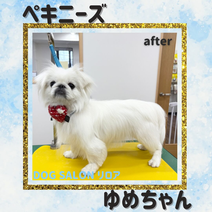 画像3584