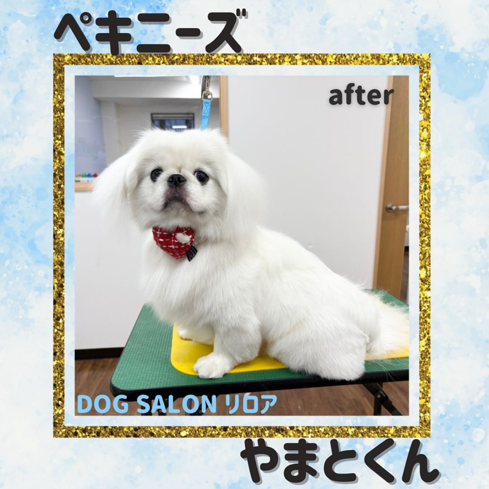 画像3591