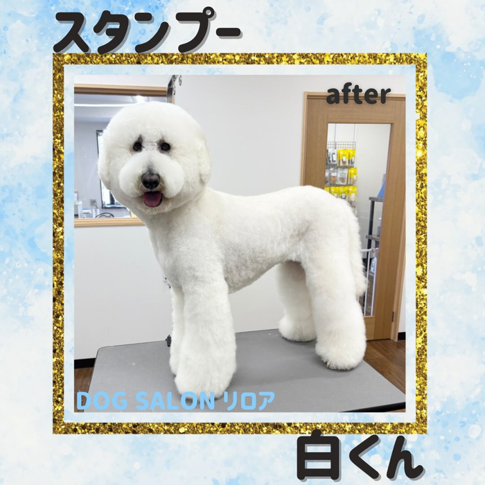 画像3598