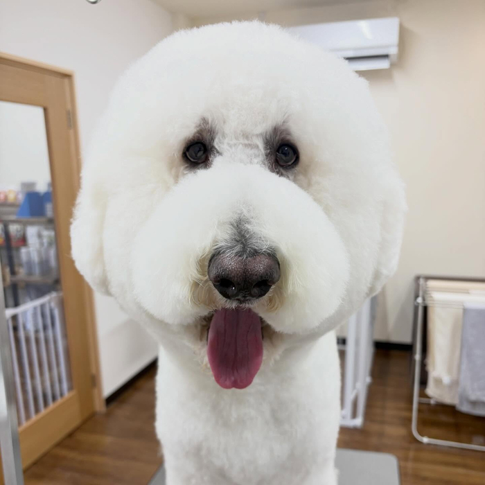 画像3600