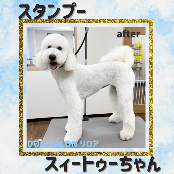 画像3628