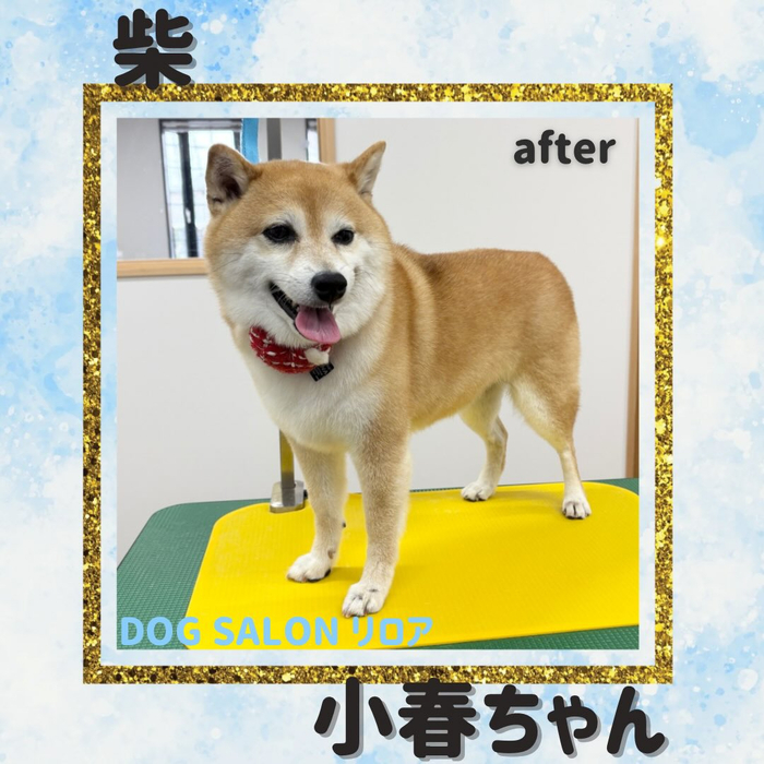 画像3635