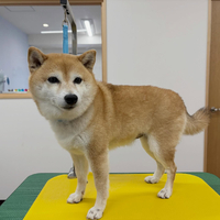 画像3640