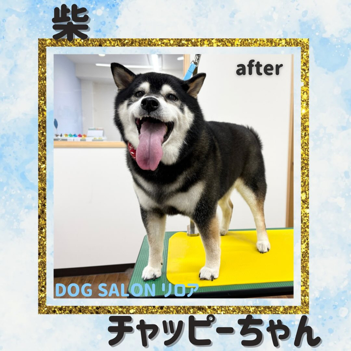 画像3649