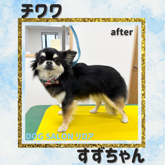 画像3656