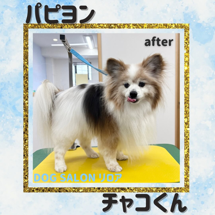 画像3664