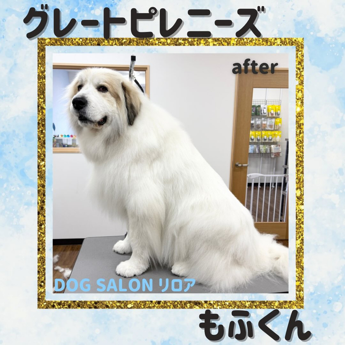 画像3672