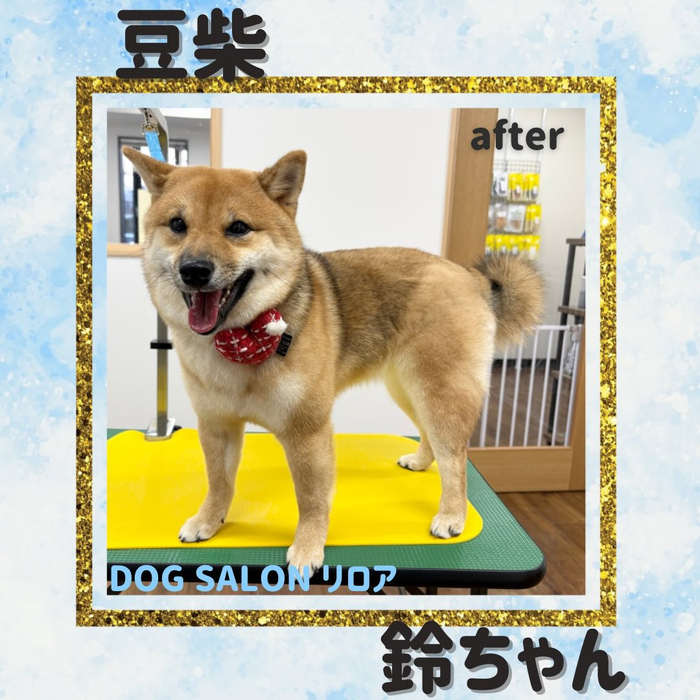 画像3688
