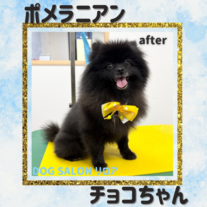 画像3743