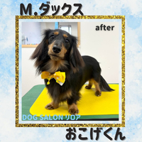 画像3752