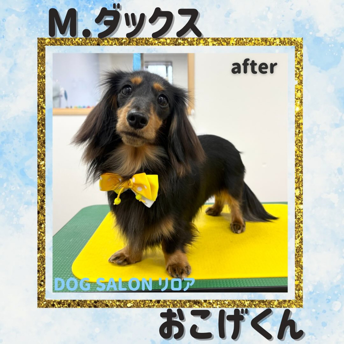 画像3752