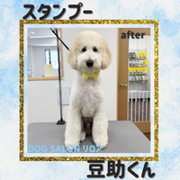 画像3768