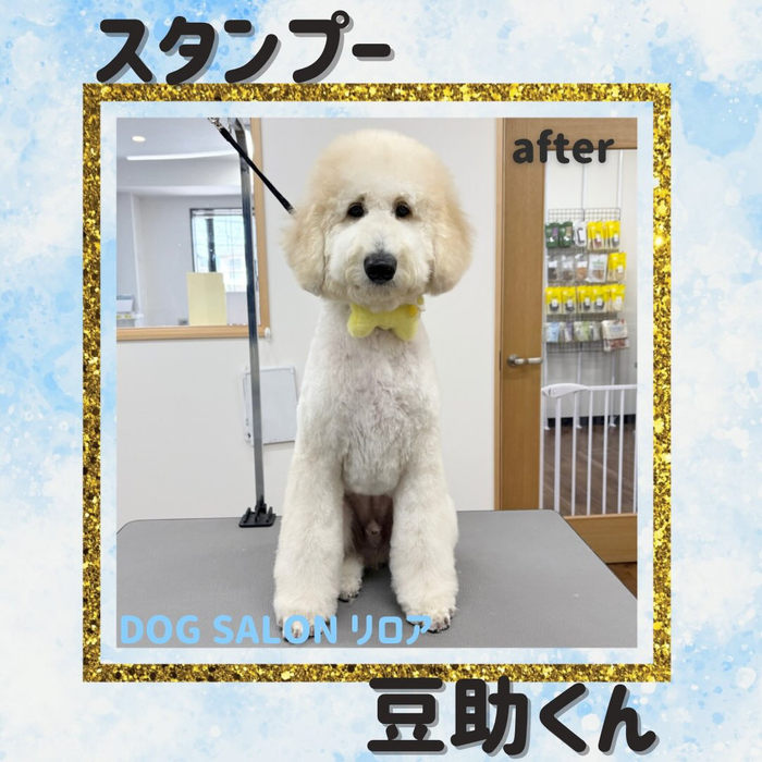 画像3768