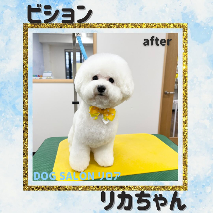 画像3784