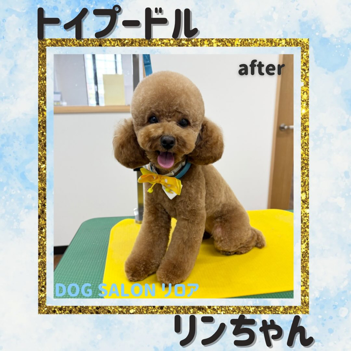 画像3791