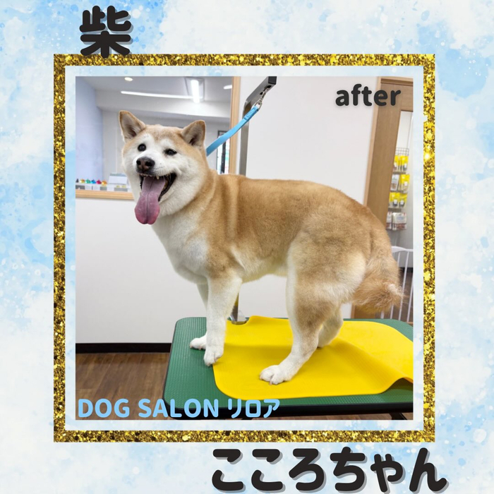 画像3799