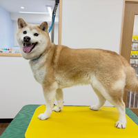 画像3804