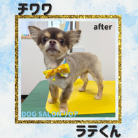 画像3821