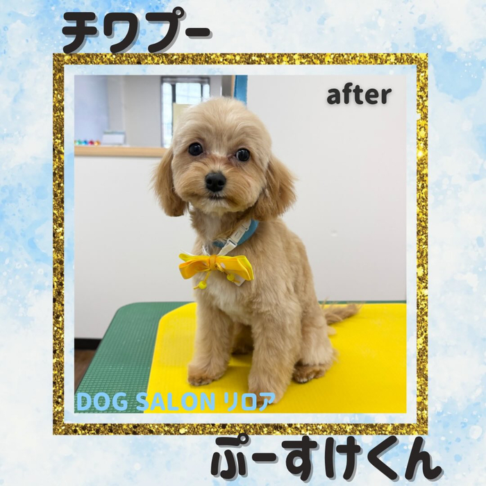 画像3860