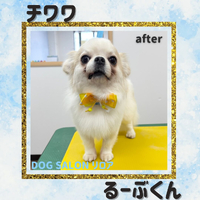 画像3868