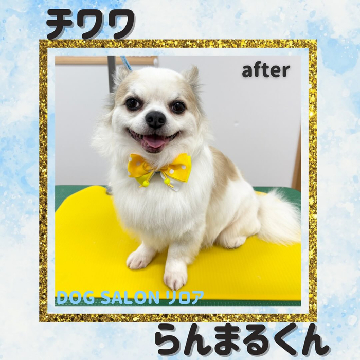 画像3876