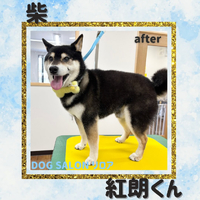 画像3891